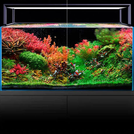 Densely planted aquascape with green carpeting plants over hardscape rock